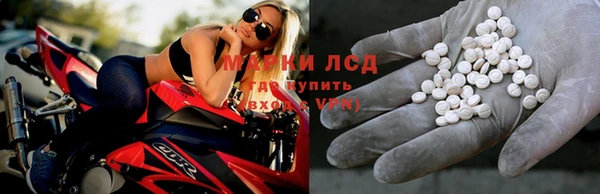 эйфоретик Арсеньев