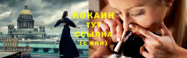 ПСИЛОЦИБИНОВЫЕ ГРИБЫ Аркадак